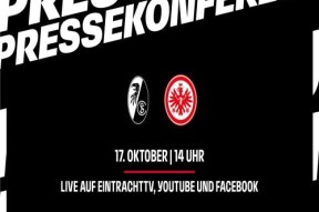 乐动入口 -法兰克福发布备战花絮，国际比赛日回应争议，NBA季后赛任务艰巨，赛程密集仍需轮换的简单介绍