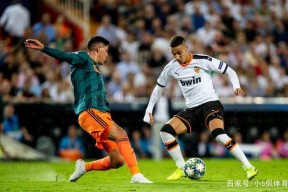 乐动娱乐平台 - 荷甲阿贾克斯对福图纳 