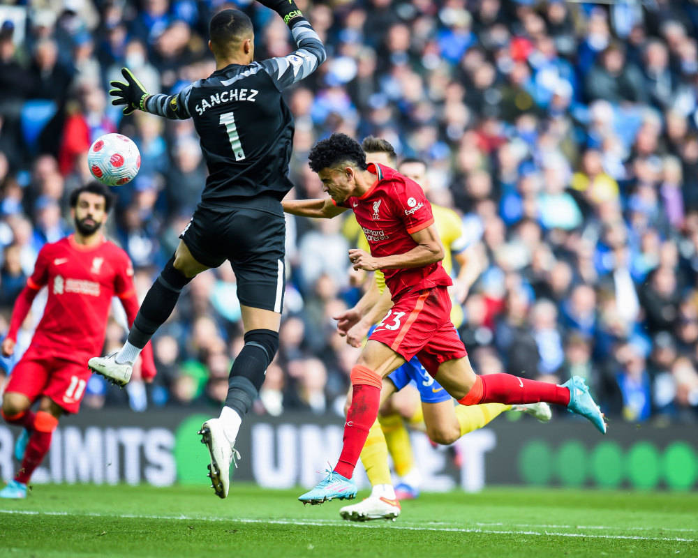 集结日亚冠焦点战，布鲁克林篮网豪取连胜，悬念犹存，医务组通报恢复(金八天八国在线观看免费版高清版视频完整版)